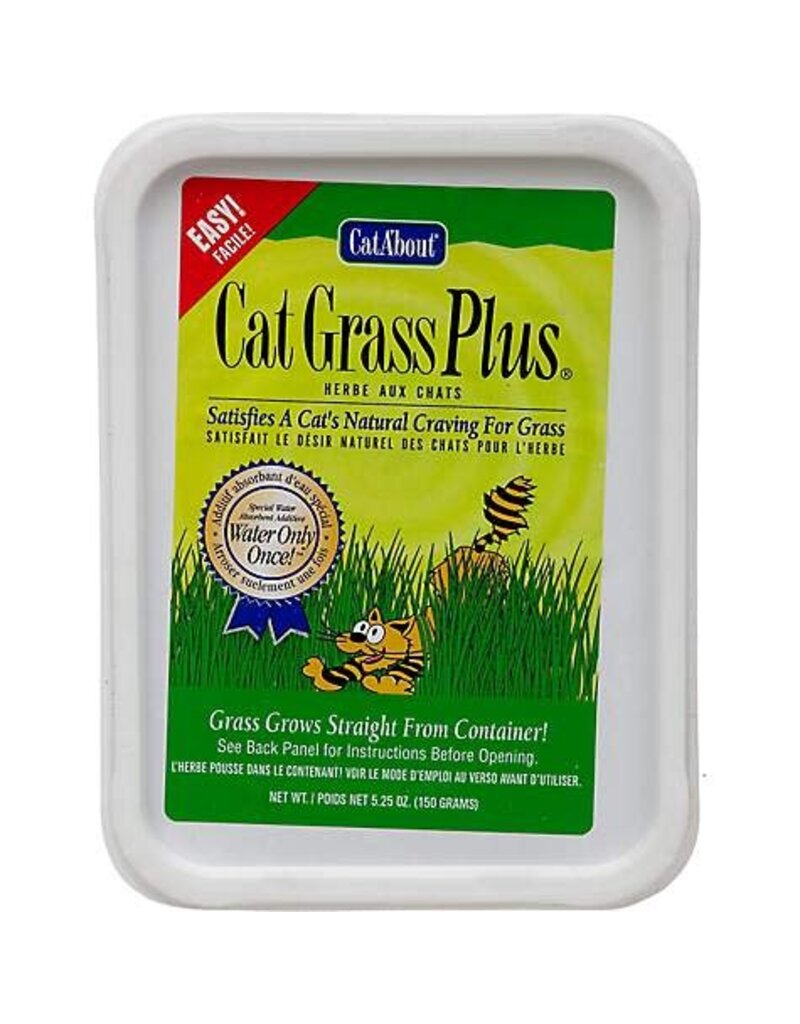 GIMBORN Gimborn Cat Grass Plus 150gm- Cat treat.