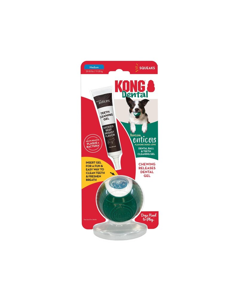 Kong KONG DOG DENTAL BALL MEDIUM