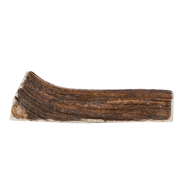 Primal Primal Small Split Stag Antler For Dogs