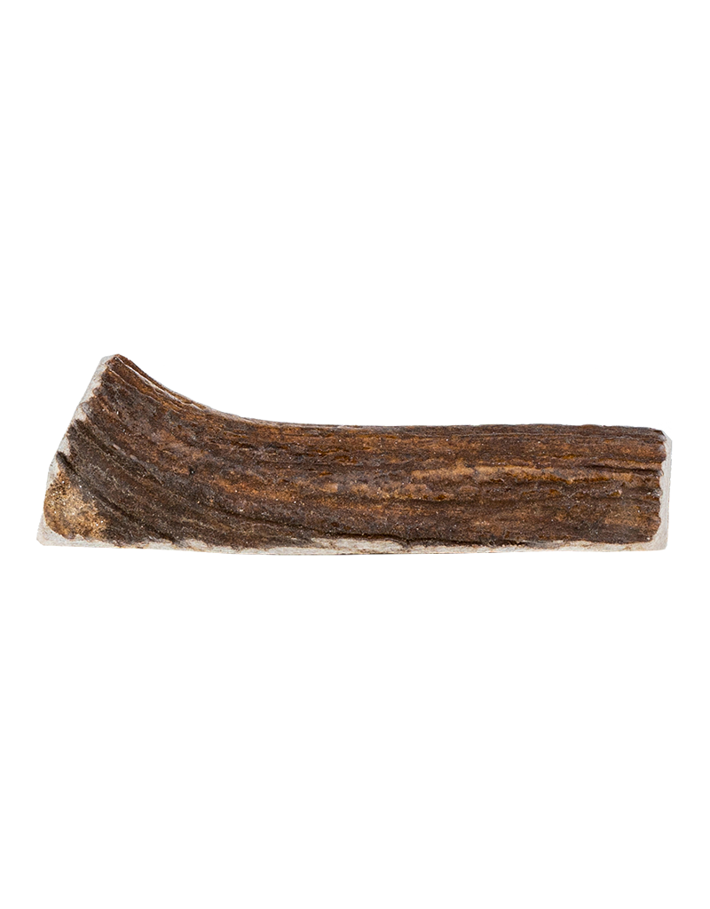 Primal Primal Small Split Stag Antler For Dogs