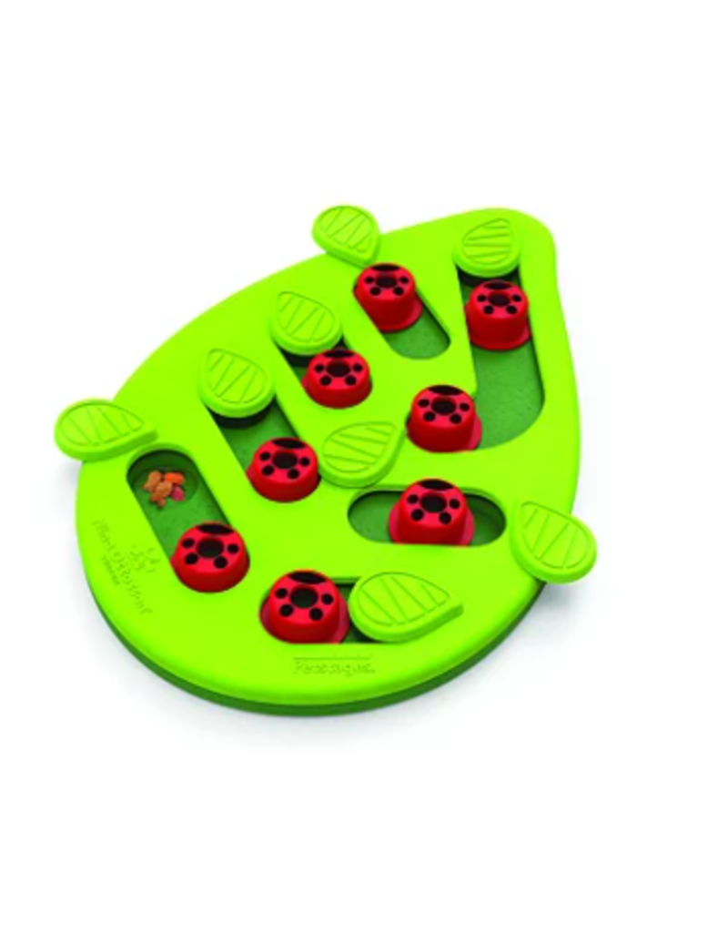 Petstages Buggin' Out Puzzle & Play - Interactive Cat Treat Puzzle