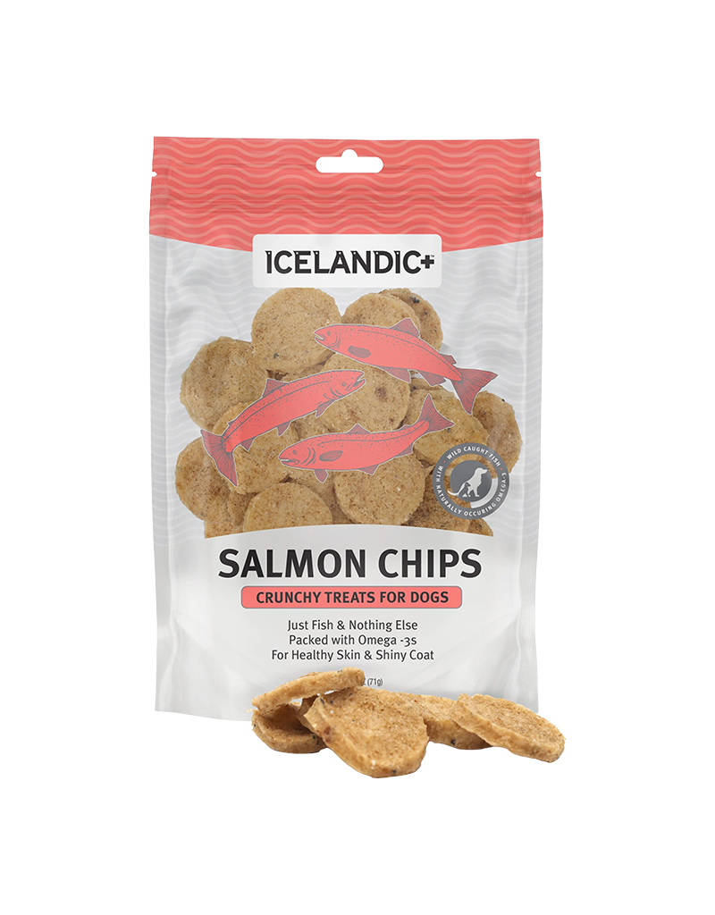 ICELANDIC DOG SALMON CHIPS 2.5OZ