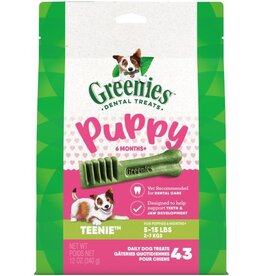 Greenies GREENIES DENTAL PUPPY D 12oz