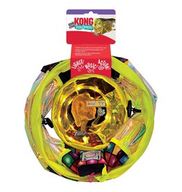 Kong Kong Play Spaces Rave Cave Cat Toy