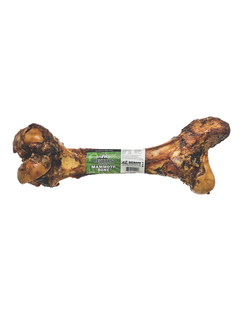 Redbarn Mammoth Bone For Dogs