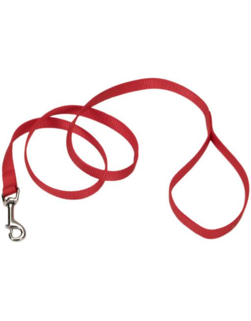 Coastal Style 406 5/8" x 6' Nylon Web Training Lead Red
