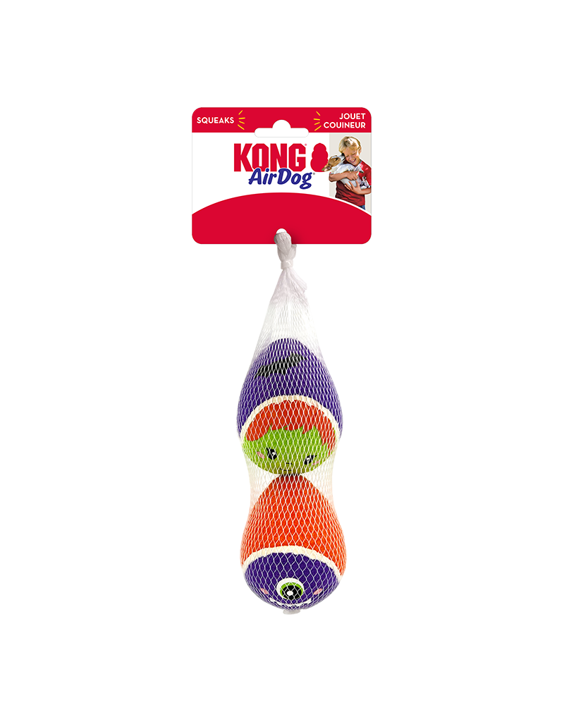 Kong Dog Halloween Airdog Squeaker Egg 2 Pack