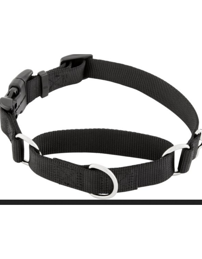 Coastal Martingale Collar With Buckle - Black (L)