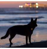 Coastal Pet Products Coastal Silicone Blinker Light (Battery Powered)