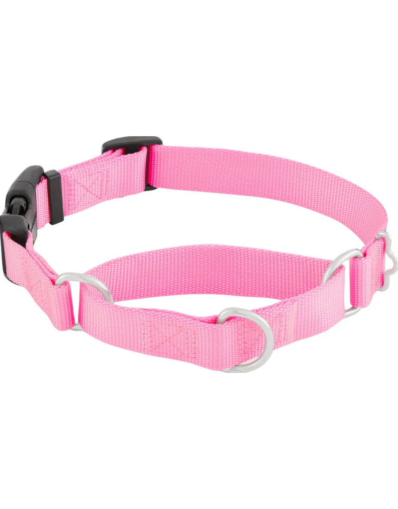 Coastal Margingale Collar With Buckle- Pink (S)