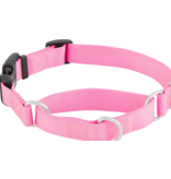Coastal Margingale Collar With Buckle- Pink (S)