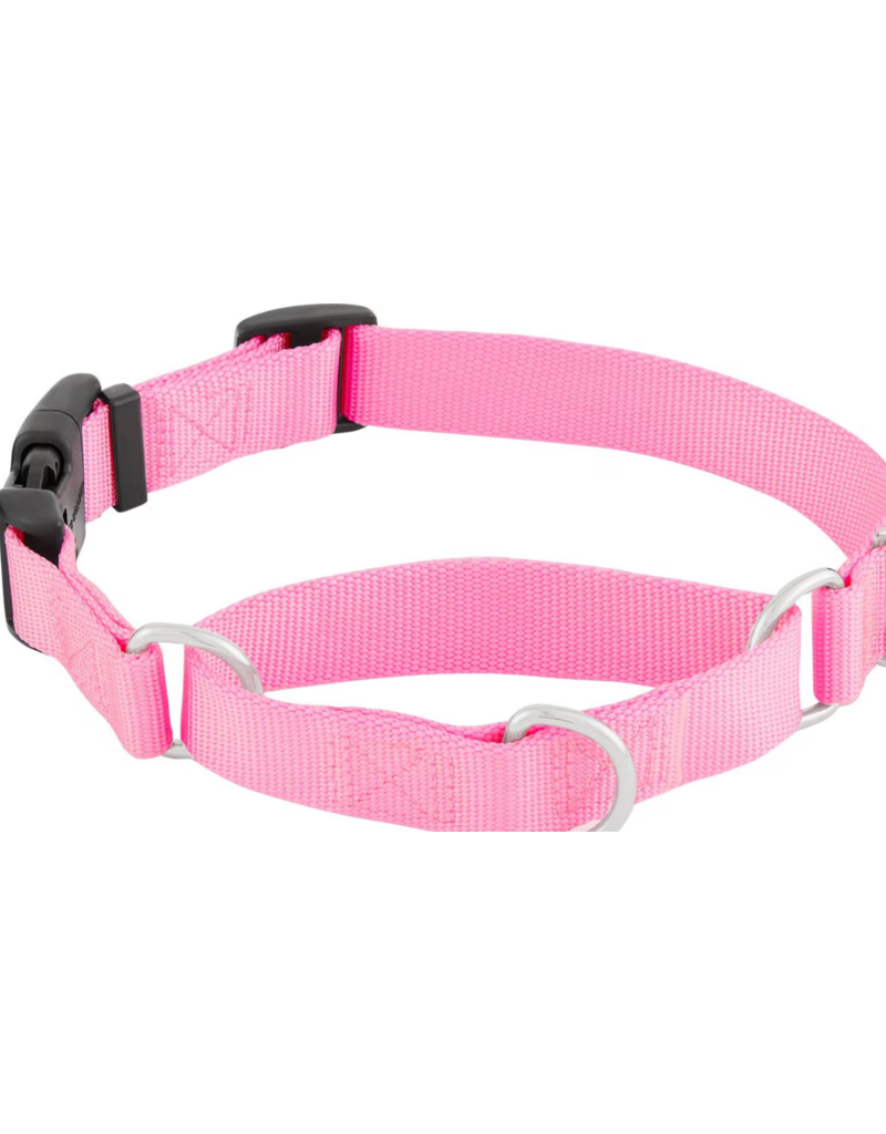 Coastal Margingale Collar With Buckle- Pink (S)