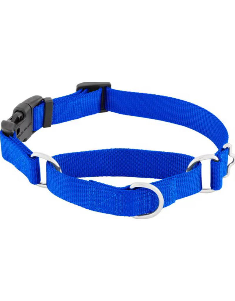 Coastal Martingale Collar With Buckle - Blue (L)