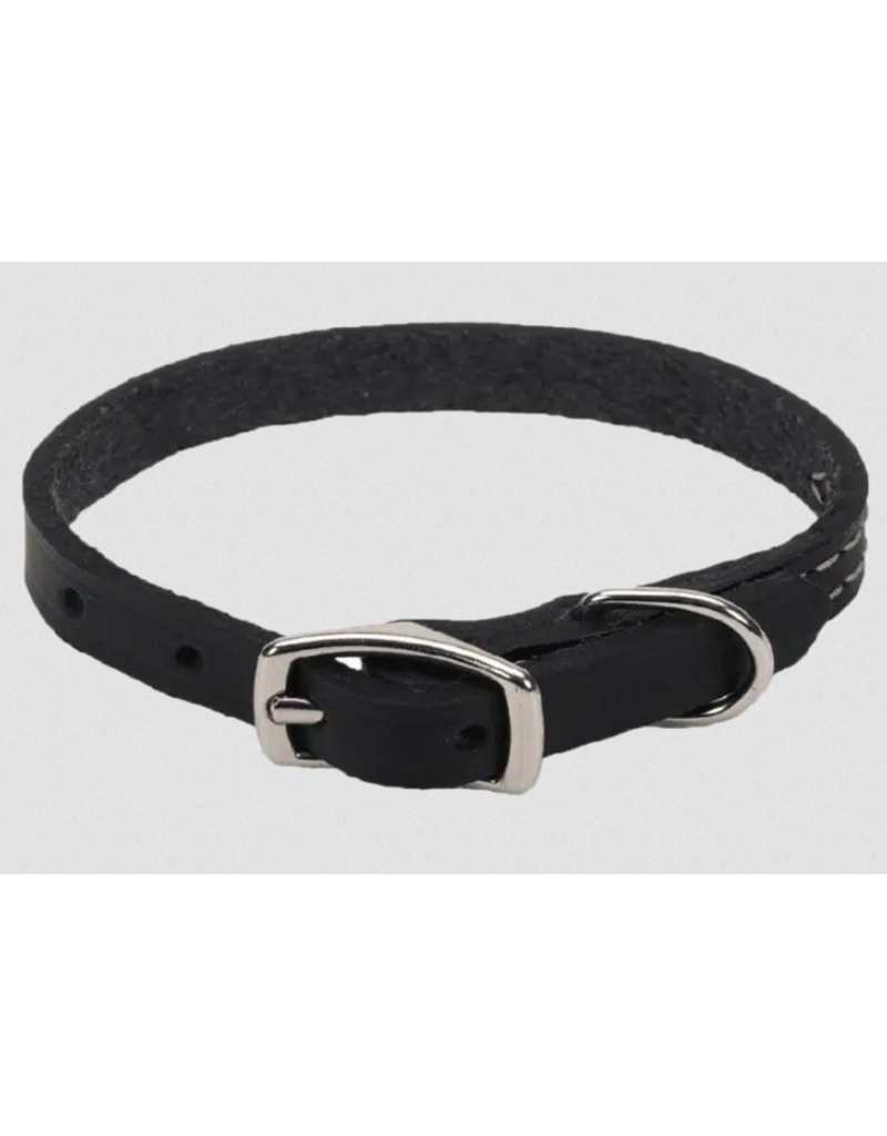 Circle T Leather Dog Collar