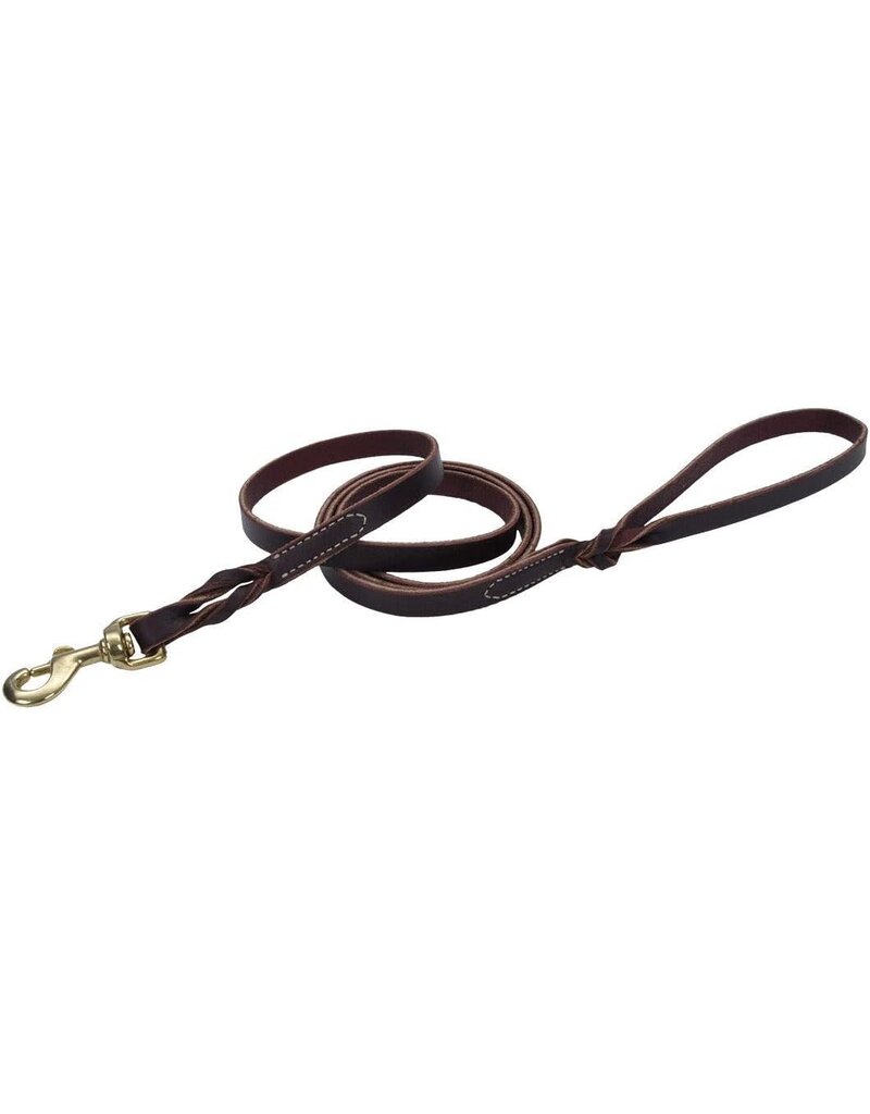 Coastal - Circle T - Latigo Leather Twist Dog Leash with Solid Brass Hardware, Latigo,