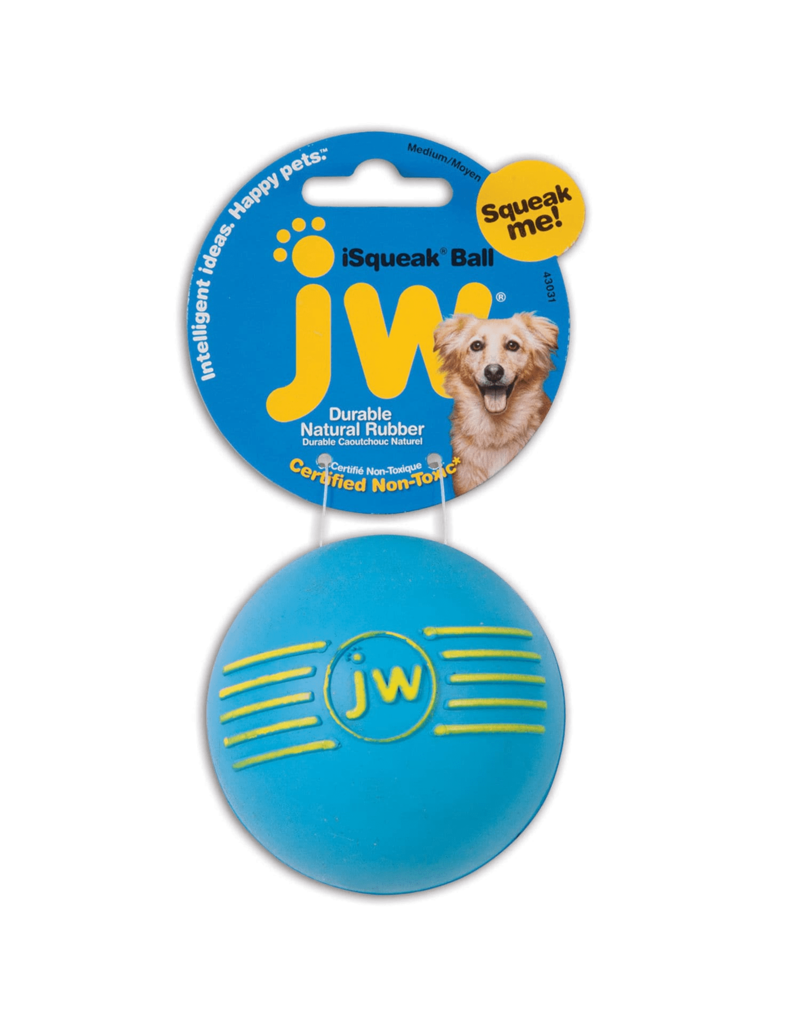 JW Products JW Pet iSqueak Ball Dog Toy Color Varies Medium