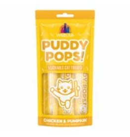 Weruva Weruva Cat Puddy Pops Lickable Treat Chicken & Pumpkin 5 Pack