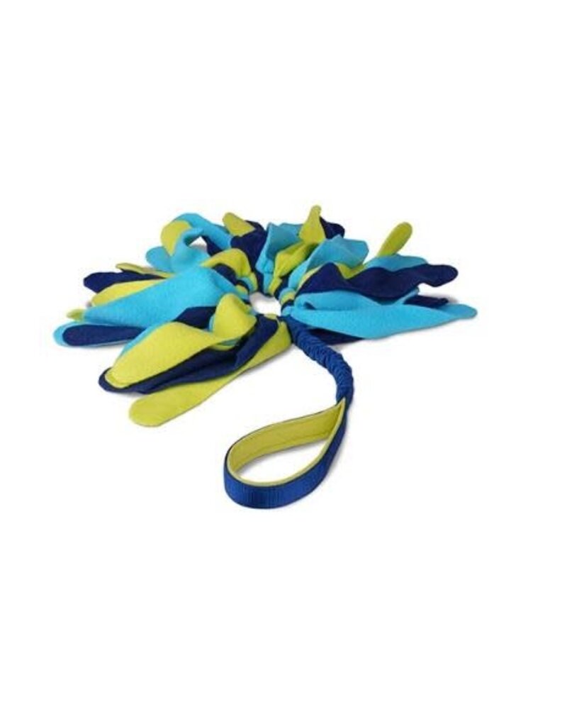 Coachi Tuggi Spider Navy Lime & Light Blue