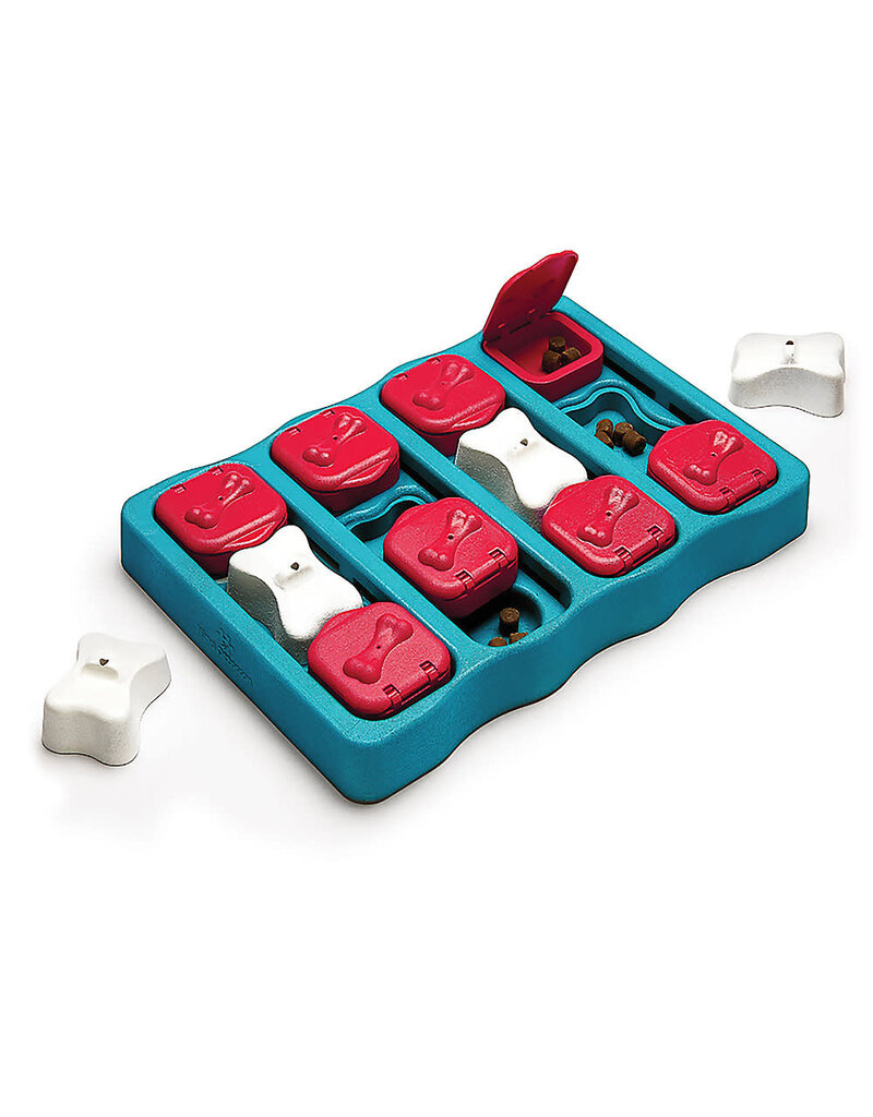 Outward Hound Outward Hound Nina Ottosson Dog Brick Puzzle Game