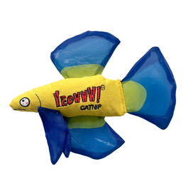 Yeowww YEOWWW! CAT MO BETTA FISH BLUE