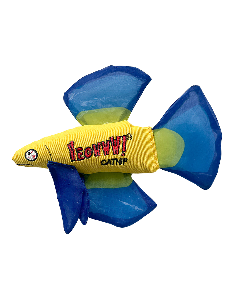 Yeowww YEOWWW! CAT MO BETTA FISH BLUE