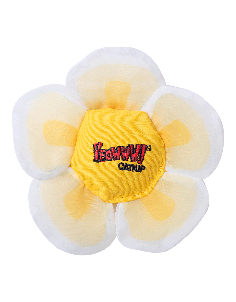 Yeowww YEOWWW! CAT CATNIP DAISY FLOWER TOPS WHITE
