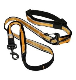 KURGO DOG QUANTUM LEASH BLACK