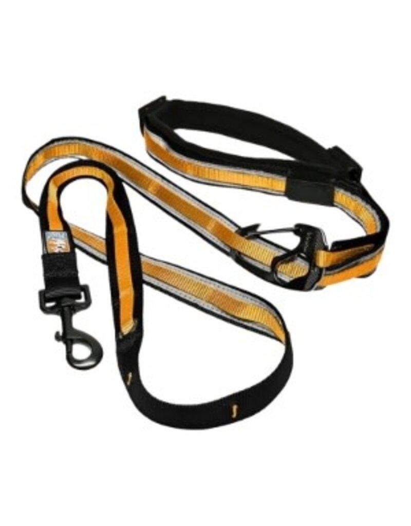 KURGO DOG QUANTUM LEASH BLACK