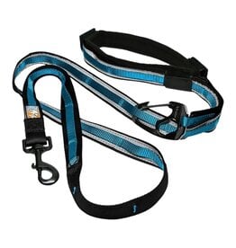 KURGO DOG QUANTUM LEASH BLUE