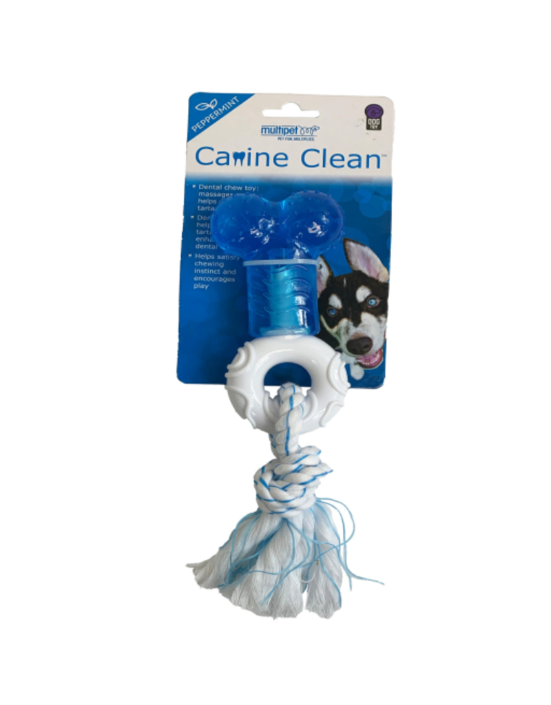 Multipet Multipet Canine Clean Peppermint Scented Dog Chew Toy  Bone with Ring and Rope  Blue