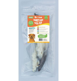 Scoochie Scoochie Rabbit Ears With Hair 2 Pack