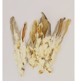 Scoochie Scoochie Rabbit Ears Individual- Bulk