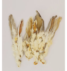 Scoochie Scoochie Rabbit Ears Individual- Bulk