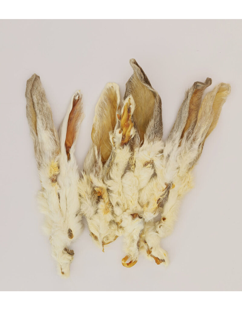 Scoochie Scoochie Rabbit Ears Individual- Bulk