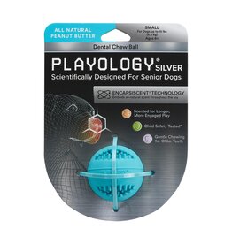 Playology Playology Silver Dental Chew Ball Peanut Butter Scented Senior Dog Toy Small