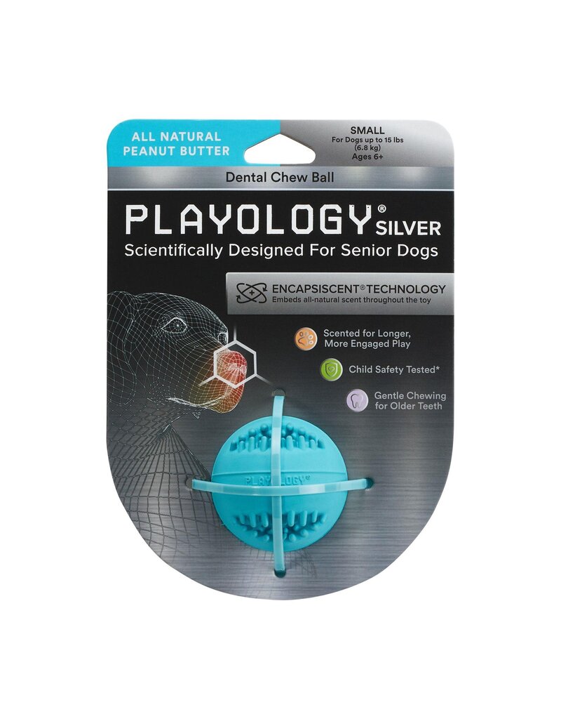 Playology Playology Silver Dental Chew Ball Peanut Butter Scented Senior Dog Toy Small