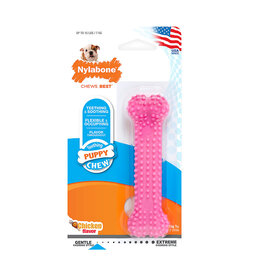 Nylabone Nylabone Puppy Teething & Soothing Flexible Chew Toy Chicken Flavor X-Small/Peti