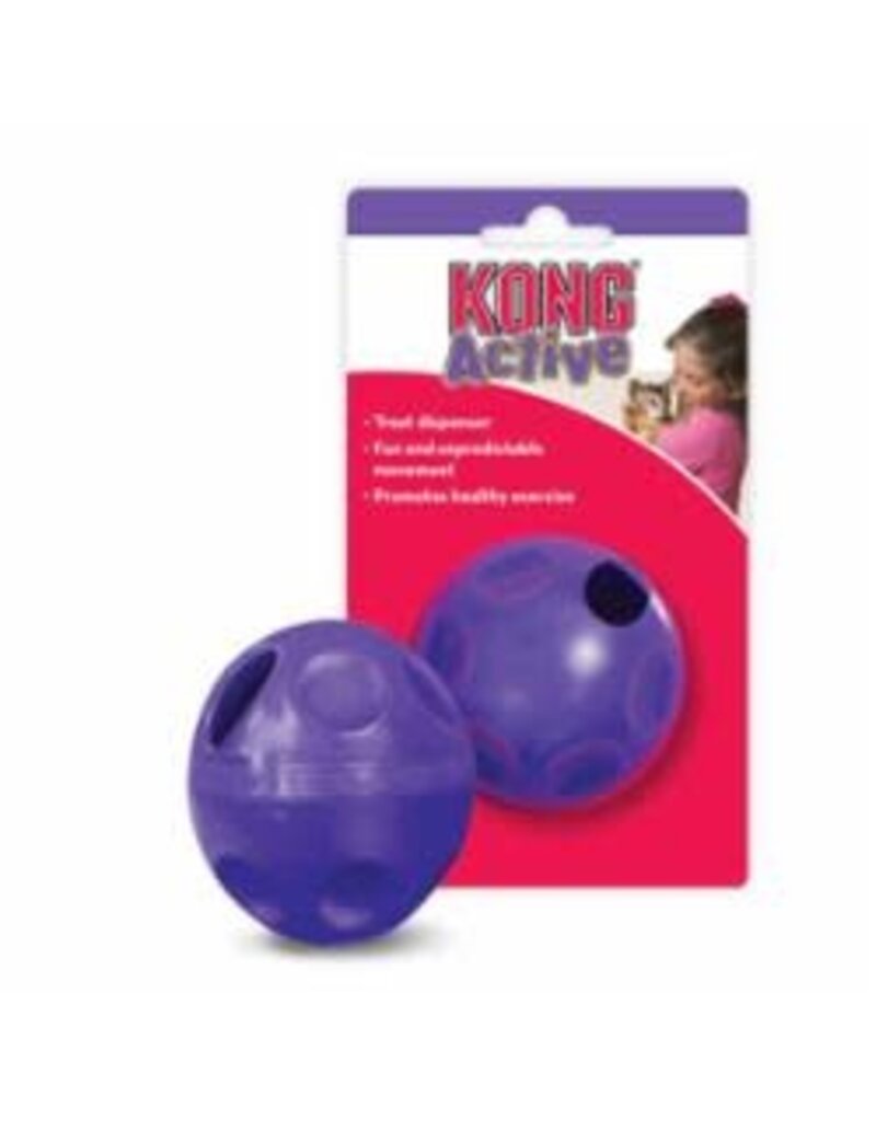 Kong Kong Toy Active Treat Ball