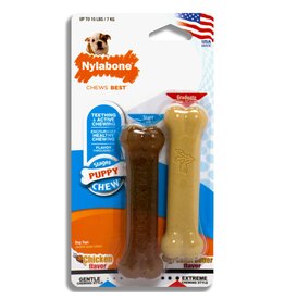 Nylabone Nylabone Puppy Twin Pack Petite