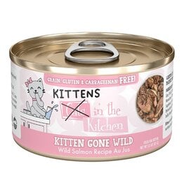 Weruva CATS IN THE KITCHEN CAT GRAIN FREE KITTEN GONE WILD SALMON RECIPE 3OZ - 12 PACK