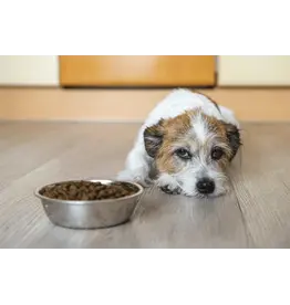 First 50 Customers Free Consultation Call Or Email To Set Up A Call