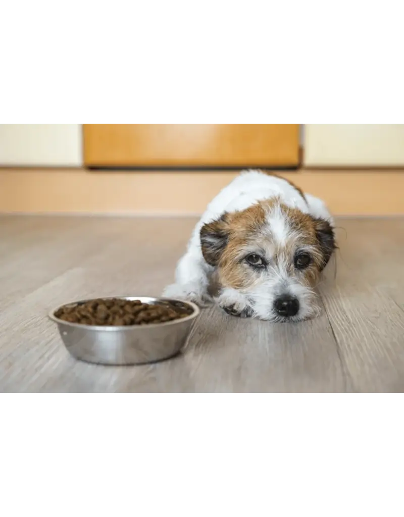 First 50 Customers Free Consultation Call Or Email To Set Up A Call