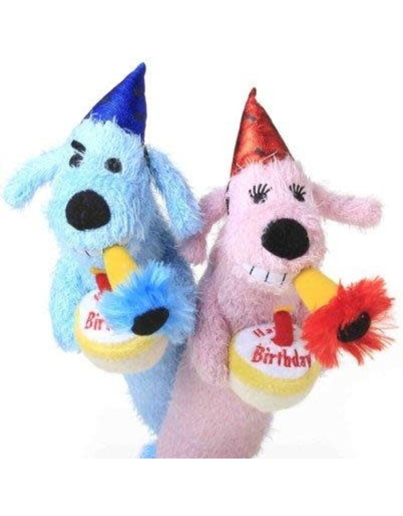 Multipet Multipet Loofa Birthday Squeaky Plush Dog Toy Color Varies, 12 in