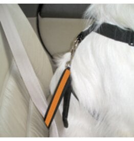 Kurgo Kurgo Dog Seat Belt Carabinar Tether