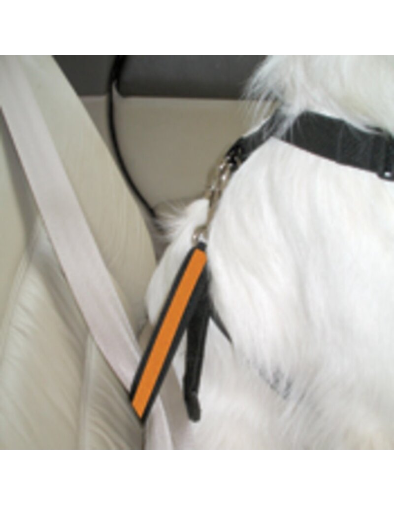 Kurgo Kurgo Dog Seat Belt Carabinar Tether