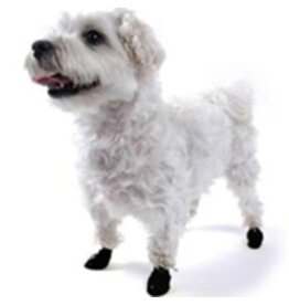 Pawz Boots Pawz Dog Boots Black XXS 12ct