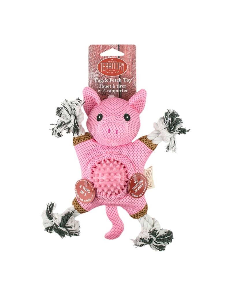 Territory Dog Territory Dog 2 In 1 Toy Pig - 10 Inch