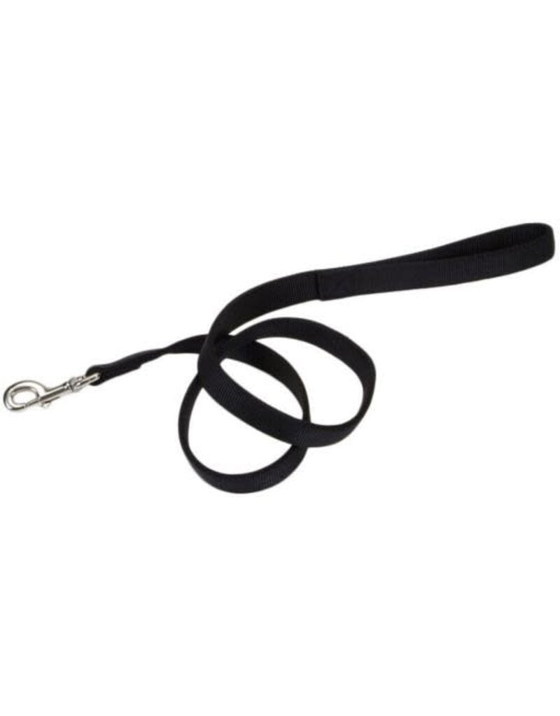 Coastal Pet Products Coastal Style 904H 1" x 4' Heavy Weight Nylon Web Lead with Handle Black