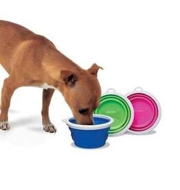 Fat Cat Fat Cat Silicone Travel Bowl -1 Cup Tray