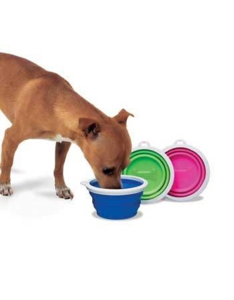 Fat Cat Fat Cat Silicone Travel Bowl -1 Cup Tray